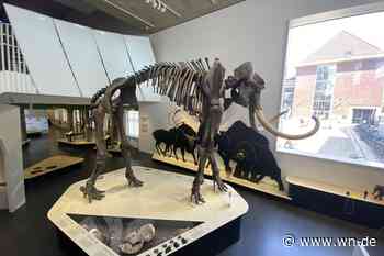 „Glückwunsch, Münster, für dieses tolle Museum!“