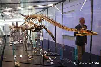 Universität vervollständigt die Museumsmeile