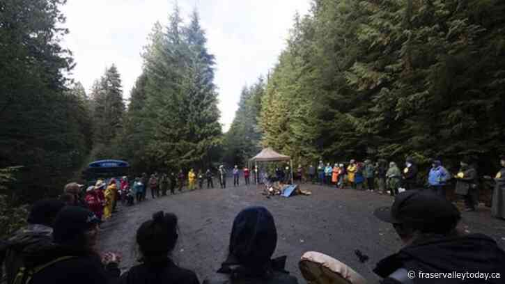 High court won’t examine acquittal of B.C. old-growth logging protester