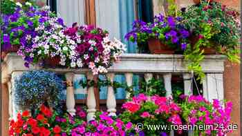 Streit mit Vermieter: Mann muss Blumenkästen vom Balkon entfernen