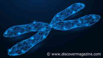 The Next Human Genome Challenge