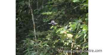 Corrida contra o tempo: como novas tecnologias podem contribuir para evitar o ponto de não retorno das florestas tropicais