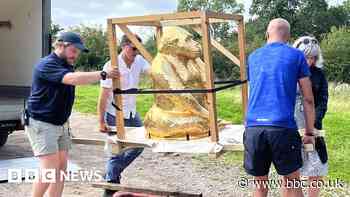 Chocolate gorilla goes on display at Bristol Zoo Project