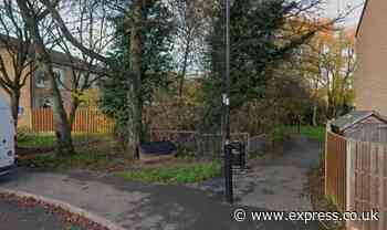 Knifeman on loose as pensioner stabbed to death in park prompting manhunt