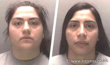 Women fly 7,500 miles to Britain to steal designer bags and smash up millionaire's home