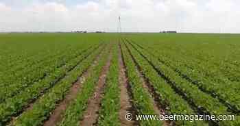 This Week in Agribusiness, July 29, 2023