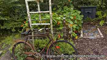 Darf man alte Fahrräder oder Möbel im Garten lagern? Neun Dinge, für die es verboten ist