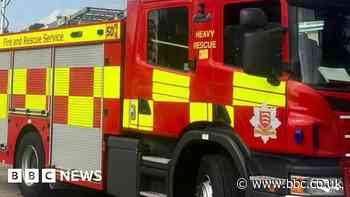 Dogs rescued from Harlow house after kitchen hob left on