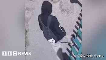 Essex Police search for man removing dummies from babies