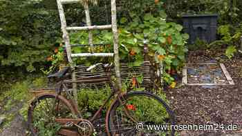 Darf man alte Fahrräder oder Möbel im Garten lagern? Neun Dinge, für die es verboten ist