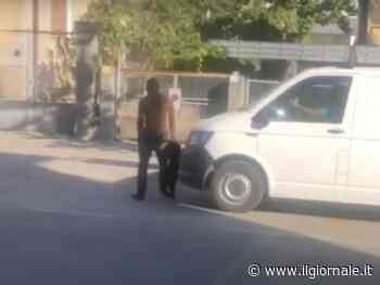 "Una persona corretta". Ed è bufera sulla Pm che "difende" la belva che ha massacrato l’anziana a Rovereto