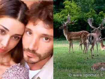 Stefano e quella voce femminile, Belen pubblica il video con le corna: cosa succede tra De Martino e la Rodriguez