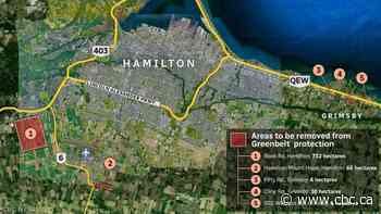 A bird's eye view of some of Hamilton's Greenbelt lands