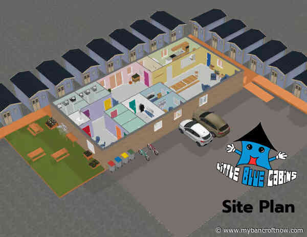 Little Blue Cabins working with government to find land for shelter project 