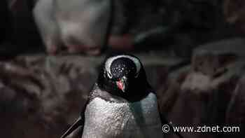 AMD and Intel CPU security bugs bring Linux patches