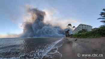 Hawaii wildfires claim at least 36 lives