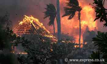 Maui wildfires death toll rises to 36 after historic town torched to the ground