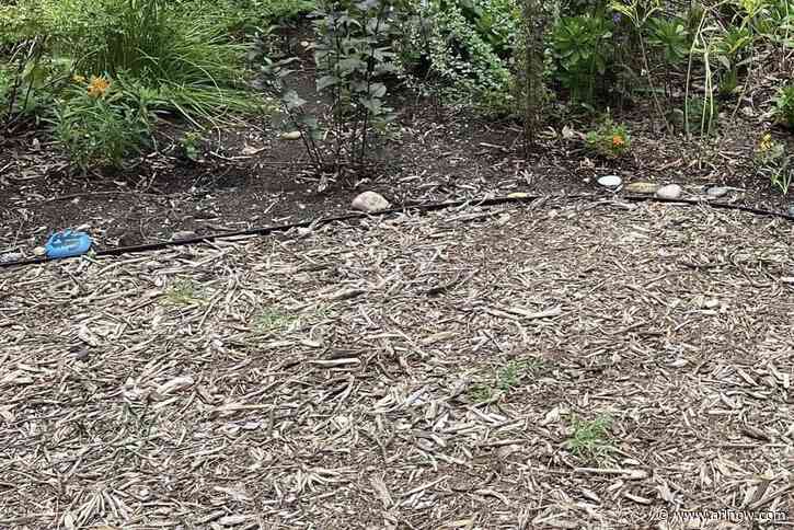 Rocks commemorating gun violence victims mysteriously vanish from Courthouse garden