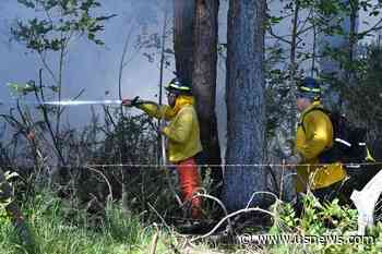How to Help or Donate in Response to the Deadly Wildfire in Maui