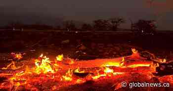 Alberta expats recount evacuation, devastation of Maui wildfires