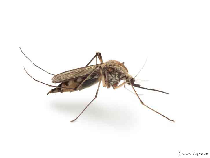 Eight new cases of West Nile virus confirmed in New Mexico