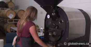 Barley, hops, coffee beans: St. Albert, Alta., brewery brews more than just beer