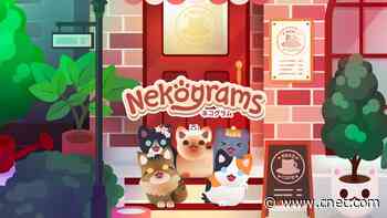 Get as Many Cats to Sleep as You Can in This Apple Arcade Game     - CNET