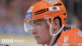 Sheffield Steelers: Ice hockey stars see cars stolen from house