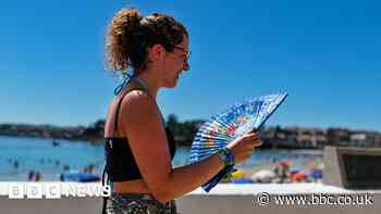 TUI: Heatwaves likely to affect where and when we holiday
