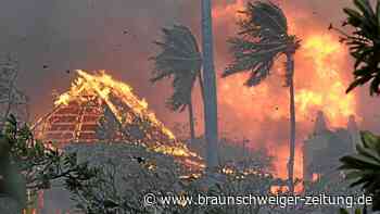 Waldbrände auf Hawaii: 36 Tote – Katastrophenfall ausgerufen