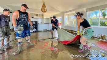 Your insurance premiums are likely to jump again this year. This is how much and why