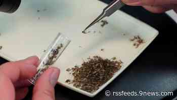 Denver health department confirms 3 cases of West Nile virus