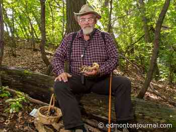 The List: Wild Mushroom Festival pops up at the Botanic Gardens Sunday