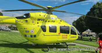 Young boy 'bitten on head and leg' in Bransholme dog attack