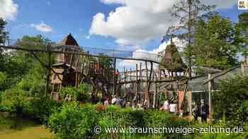 Tierpark Essehof: Wo der Hirsch dich um Futter anstupst