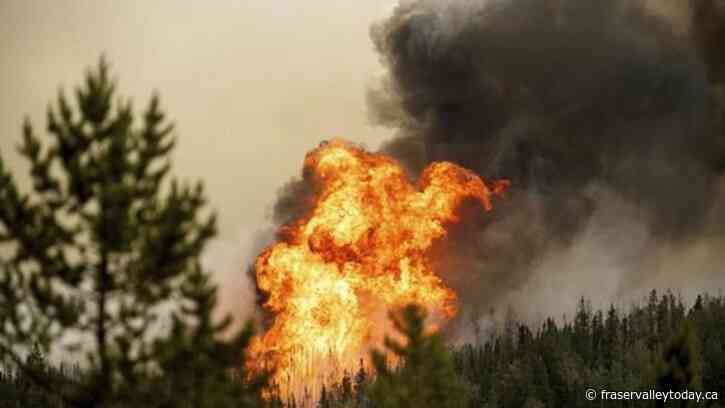 Federal officials to provide wildfire update amid devastating season