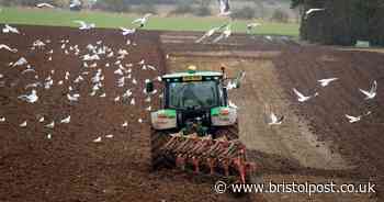 The UK's most dangerous jobs revealed in new study