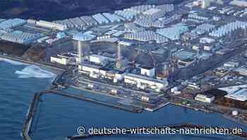 Fukuschima-Kühlwasser: Japan will Fisch und Meeresfrüchte  testen