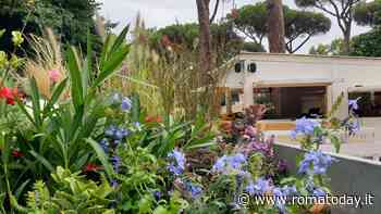 Nel parco della Resistenza dell'VIII Settembre nasce l'Oasi Cestia