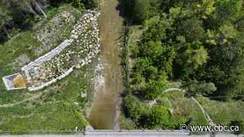 Can anyone stop Ontario's Greenbelt land swap from going ahead? Here's what we know