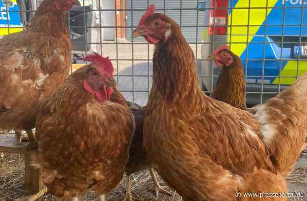 POL-OF: Wer kann Hinweise zu Hühnern geben?; Einbruch in Blumenladen und Shisha Bar; 18-Jährige bei Unfall leicht verletzt; Unfall mit vier Autos und zwei Verletzten; Porsche brannte und mehr