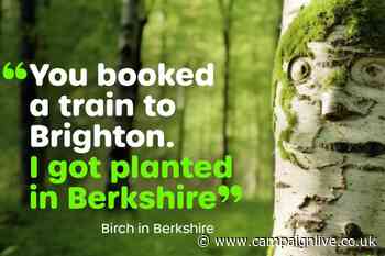 Train Hugger lets trees do the talking in debut work by Motel