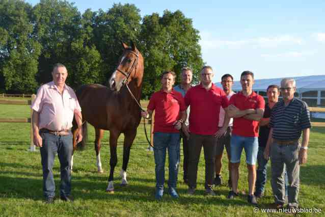 Gewest Evergem van stamboek Belgische Warmbloedpaaarden (BWP) laat 150 springpaarden keuren: “Gratis aantrekkelijk evenement voor jong en oud”