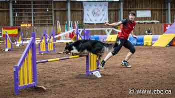 Edmonton-area competitors capture medals at world dog agility championships