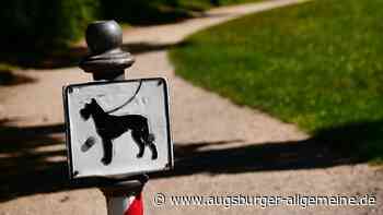 Freilaufender Hund beißt 14-Jähriger ins Bein: Halter läuft einfach weiter