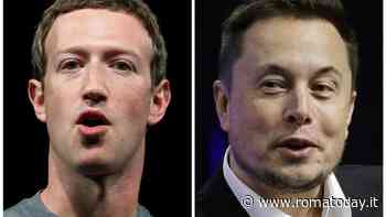 Musk contro Zuckerberg nell'Antica Roma. Sangiuliano: "Stiamo organizzando un grande evento benefico e di promozione culturale"
