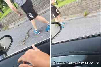 Video shows large snake on the loose on Balham South road