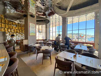 À Cannes, l’hôtel Canopy by Hilton a donné un "coup de fouet méditerranéen" à l’ancien Radisson Blu