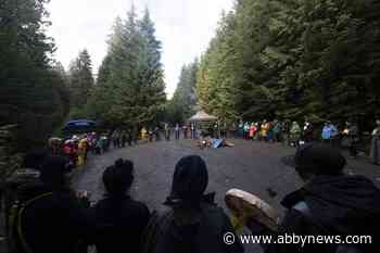 B.C. won’t pursue cases against 146 Vancouver Island old growth protesters