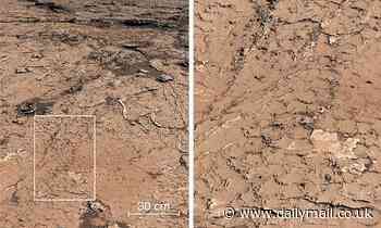 Discovery of cracked mud on Mars has alien hunters excited about finding life on the Red Planet